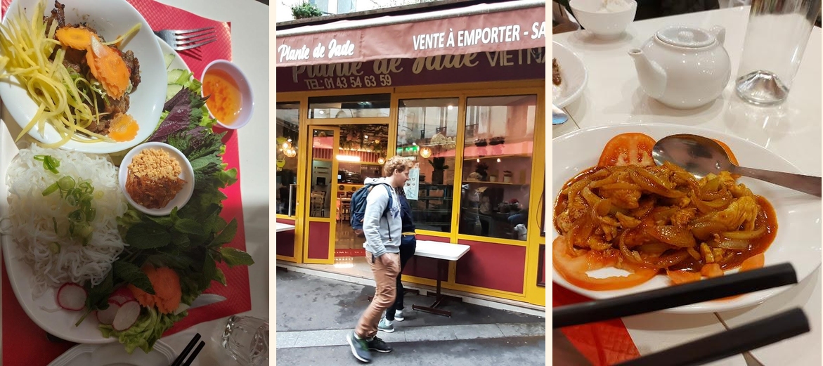 Plante de Jade - Gallery Image 1