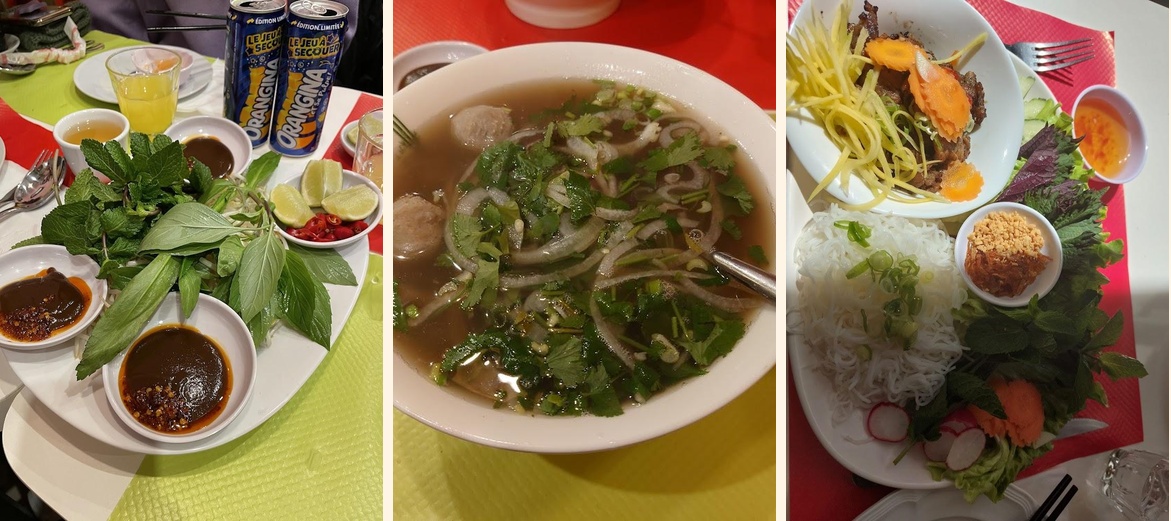 Plante de Jade - Gallery Image 3